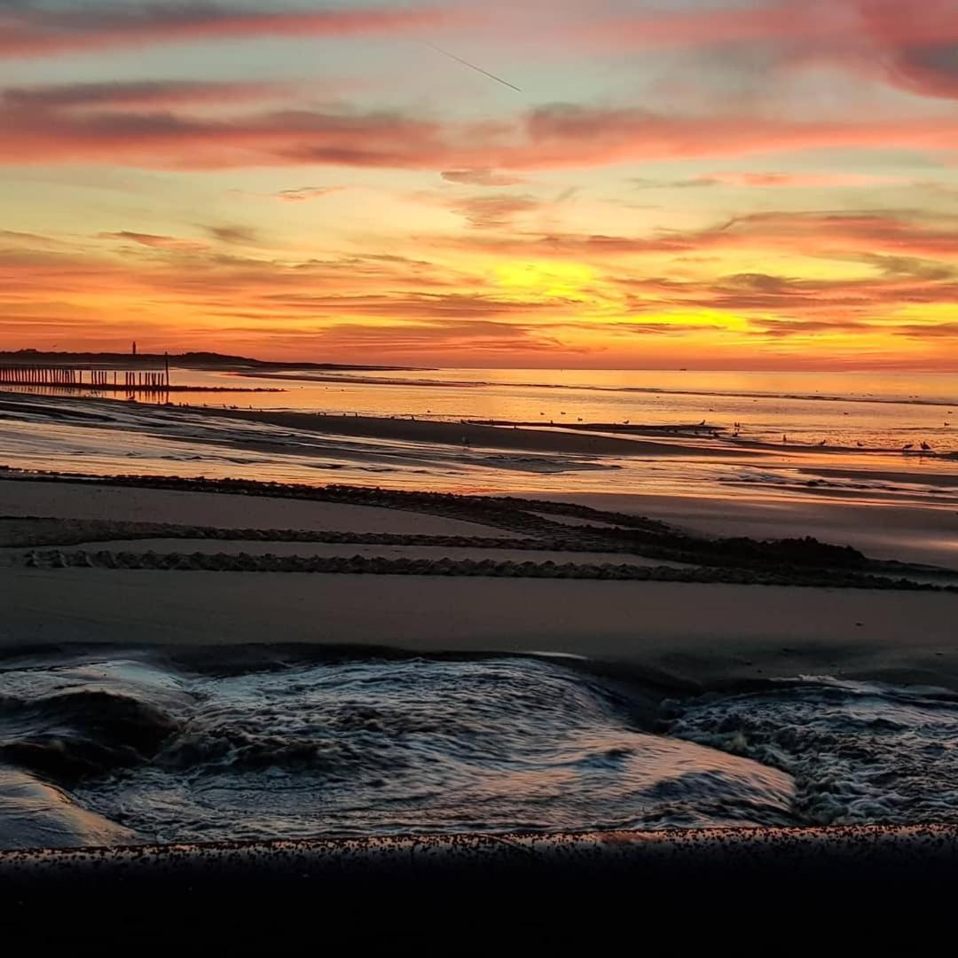 Schorrebloem 30 Nieuwvliet